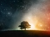 夢幻大自然