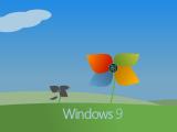 Window9