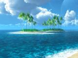 海邊椰樹風光