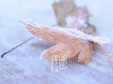 二十四節氣霜降