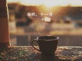 你好，十一月