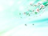 花落盡荒涼一片
